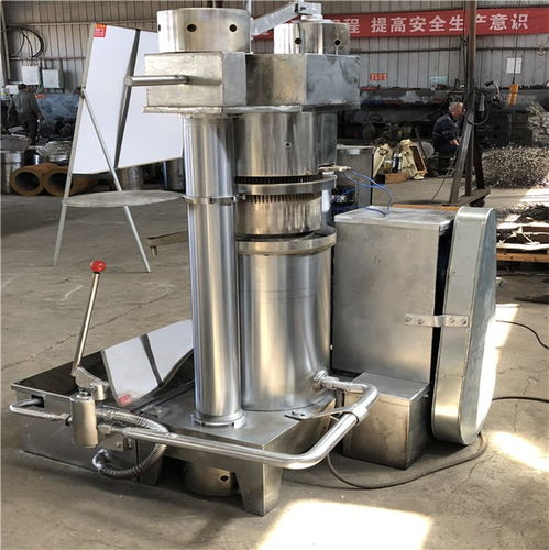 重型山核桃榨油機哪里好推薦 眾大機械